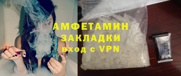 трава Бородино