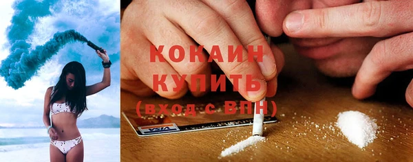 трава Бородино