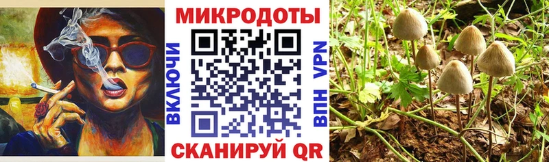 Галлюциногенные грибы GOLDEN TEACHER  наркошоп  Томари 