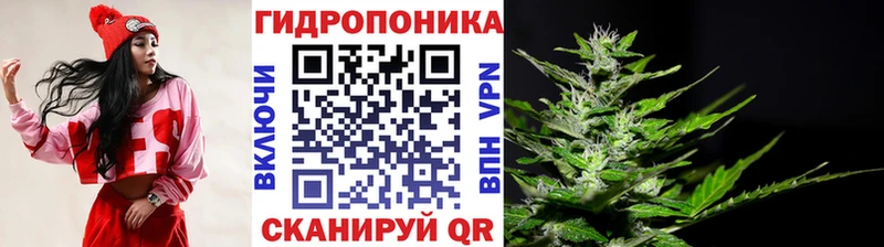 Канабис VHQ  где найти   Томари 